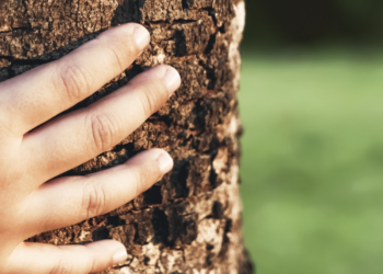 Making the Most of Outdoor Time with Highly Sensitive Children