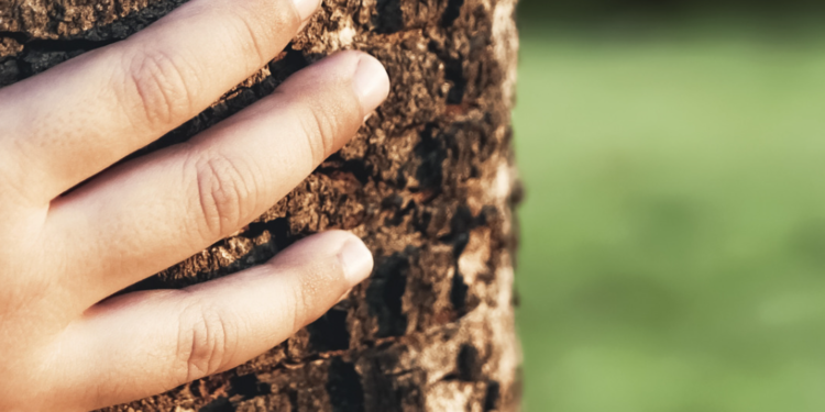 Making the Most of Outdoor Time with Highly Sensitive Children