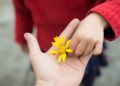How to Improve Your Highly Sensitive Child's Mood with Gratitude