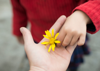 How to Improve Your Highly Sensitive Child's Mood with Gratitude