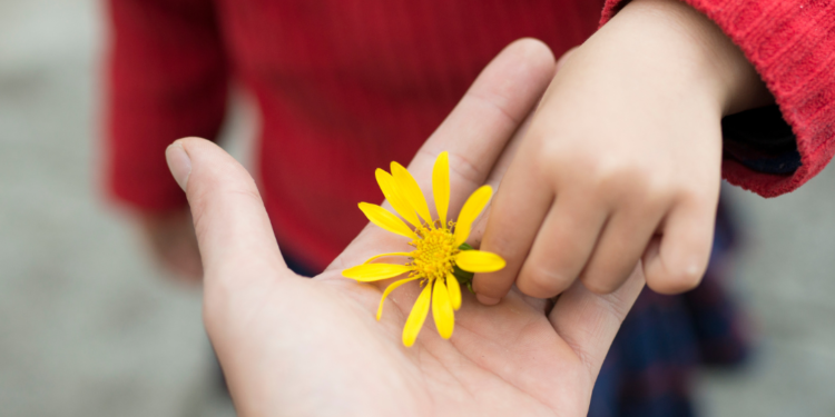 How to Improve Your Highly Sensitive Child's Mood with Gratitude