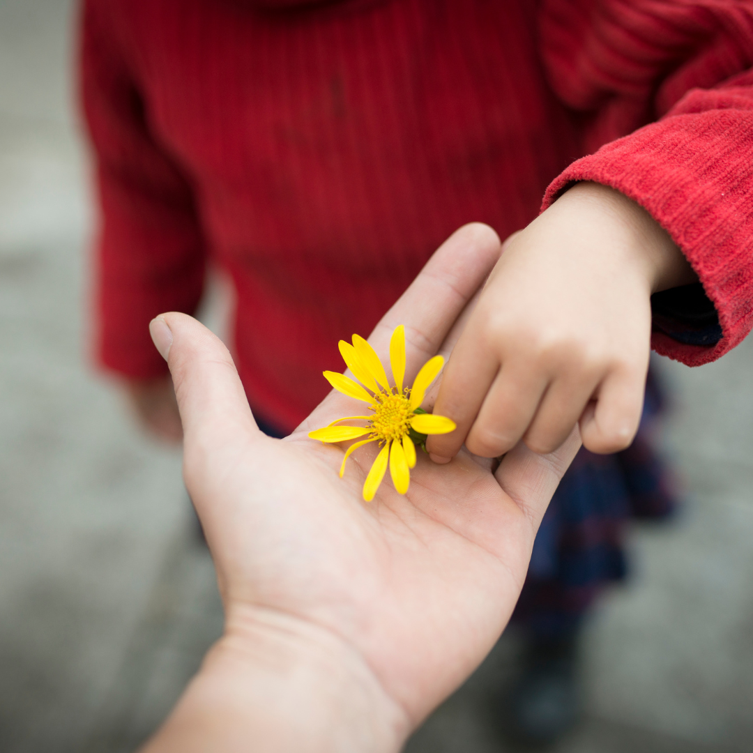 How to Teach Your Highly Sensitive Child To Be Grateful | A Sensitive Mind